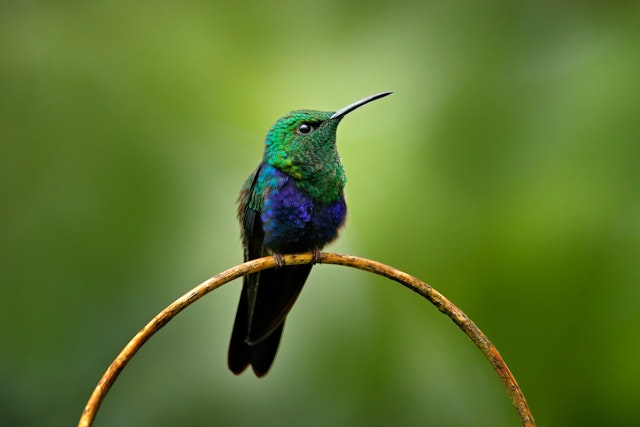 Ecuador Reise über Quito bis Guayaquil