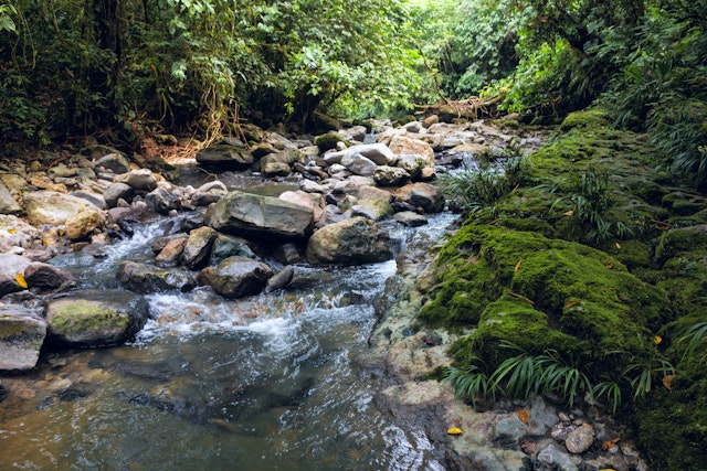 Napo Province-2