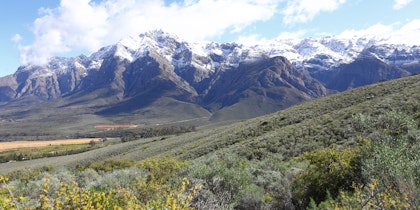 Südafrika Weinreise: Die schönsten Weinregionen - Image 4