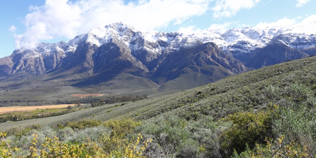 Südafrika Weinreise: Die schönsten Weinregionen