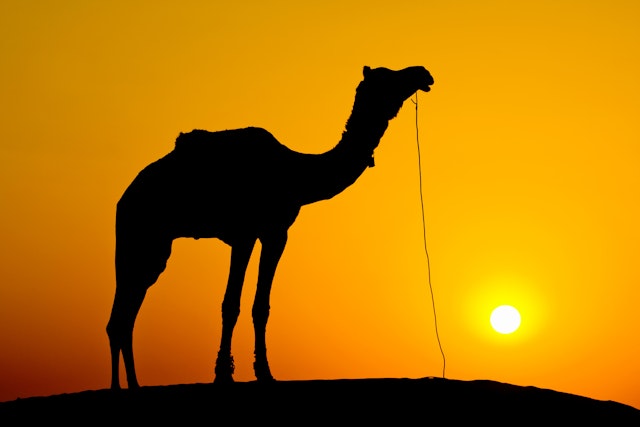 Jaisalmer-0