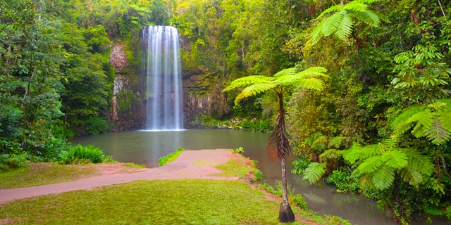 Atherton Tablelands-0