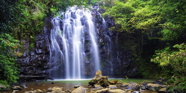 Atherton Tablelands-3