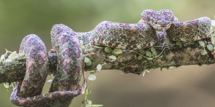 Costa Rica Familienreise - Image 4