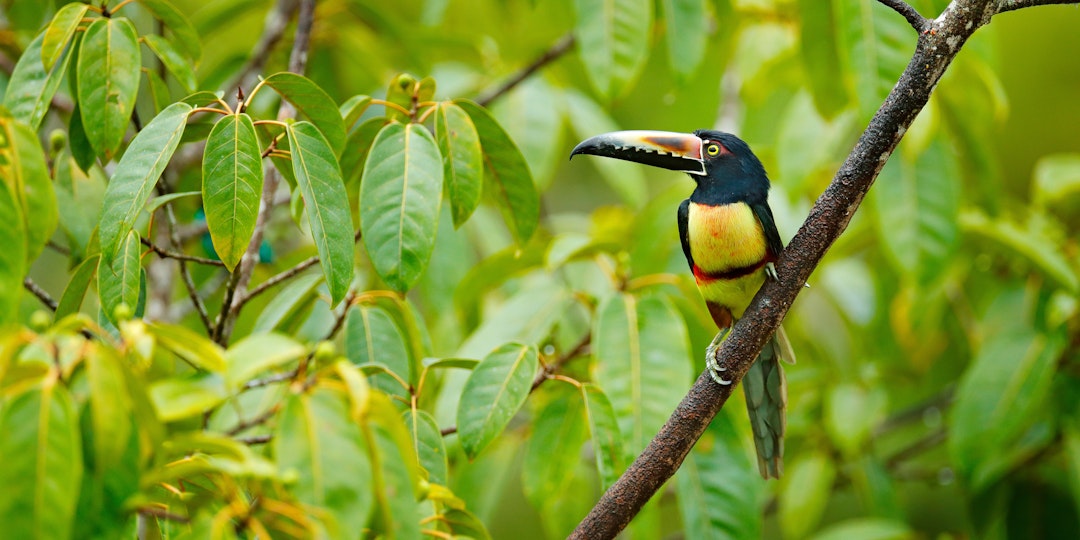 Costa Rica Auto-Rundreise