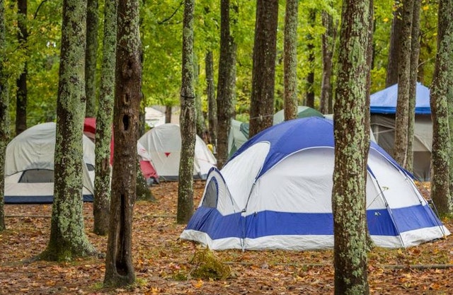Bar Harbor/Oceanside KOA