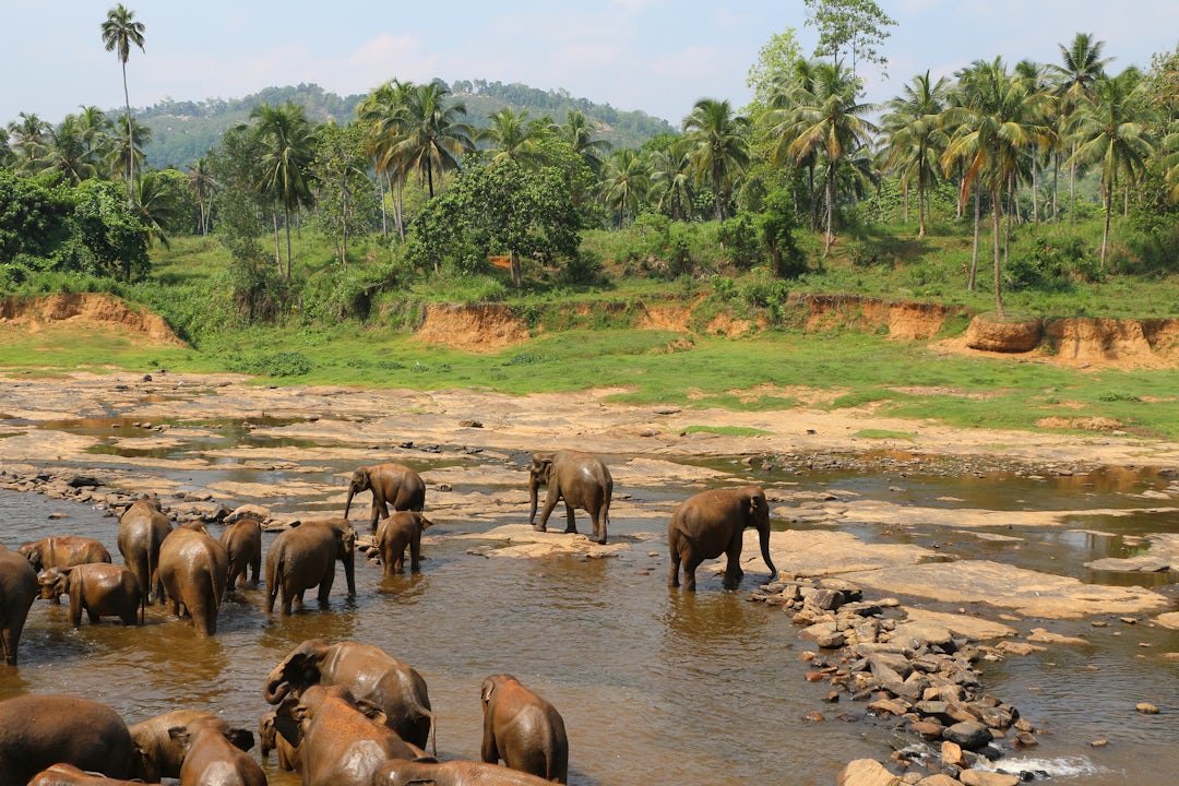 À la découverte du Sri Lanka autrement