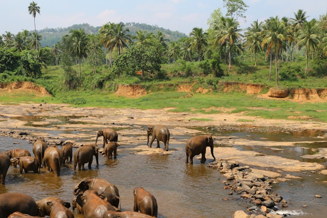 À la découverte du Sri Lanka autrement
