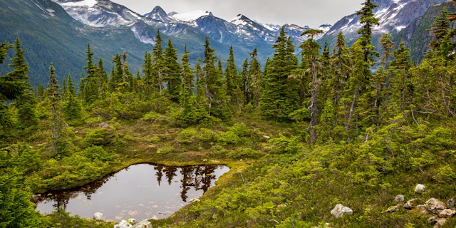 Bella Coola-0