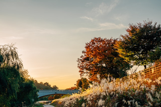 Jeonju-4