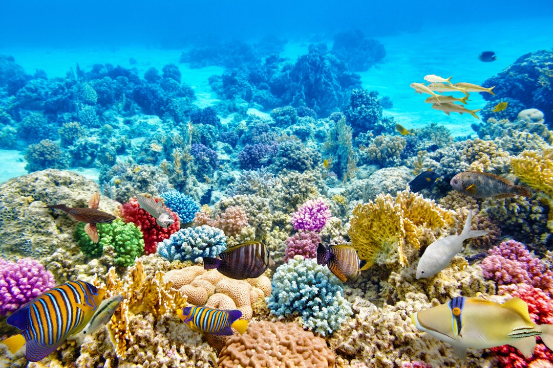 Voyage aux Maldives : vivez deux semaines de plongées et de relaxation inoubliables