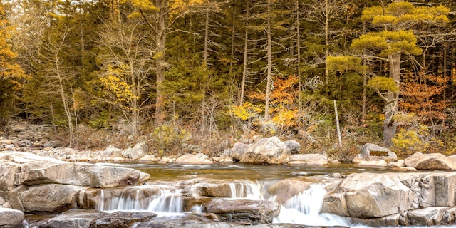 White Mountain National Forest-7