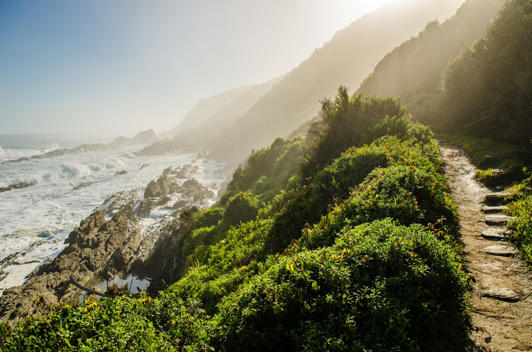 Safari: Wilde Wunder der Garden Route