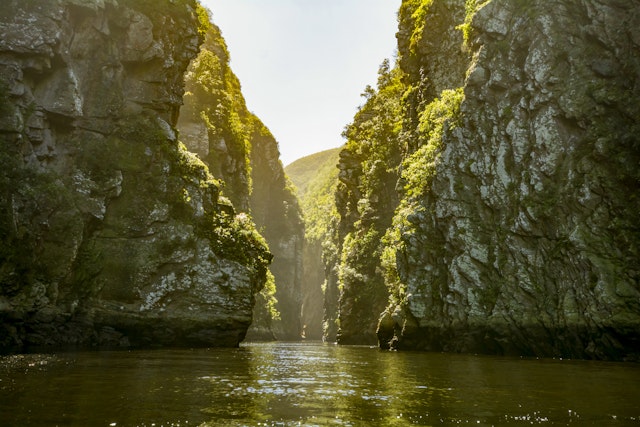 Terra Nova: Familienabenteuer auf der Garden Route