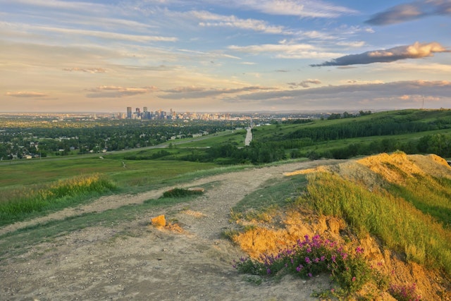 Calgary-6