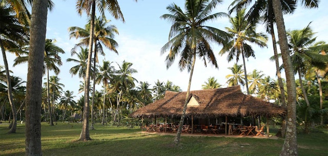 Marari Beach 