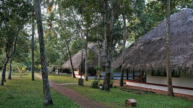 Marari Beach 