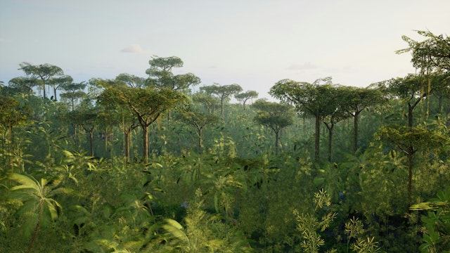 State of Amazonas-0