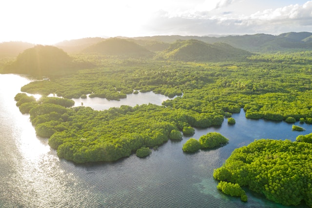 State of Amazonas-2