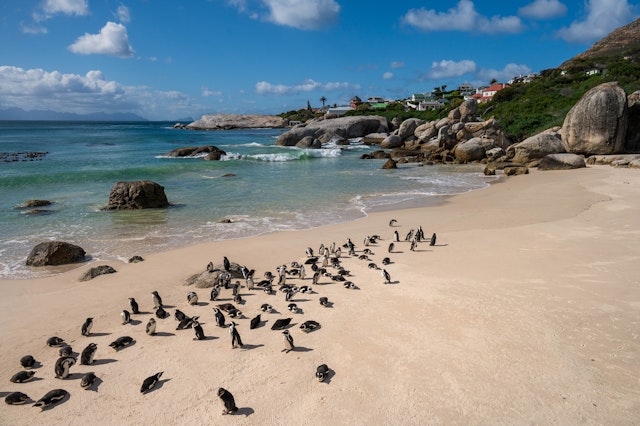 Cape Town-4