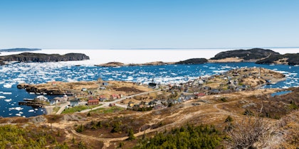 Circuit à Terre-Neuve : aventure et nature - Image 3