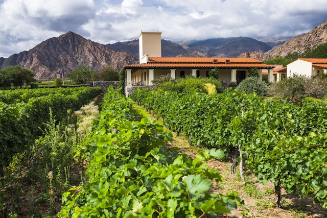 Vinas De Cafayate Wine Resort
