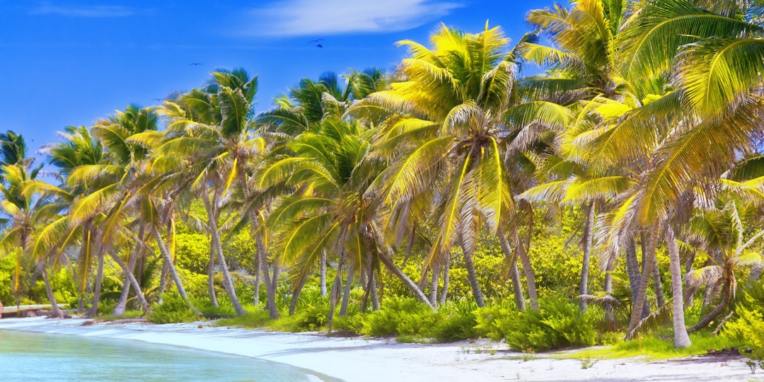 Farbenfrohe Bora Bora Reise 