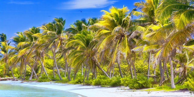 Tahiti-0