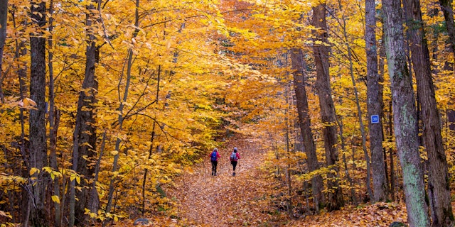 Gatineau-5