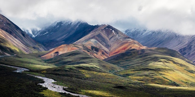 Denali National Park-7