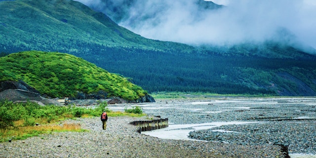 Denali National Park-4