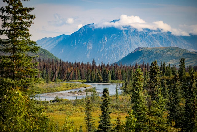 Denali National Park-0