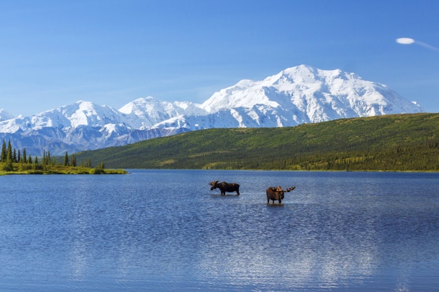 Denali National Park-4