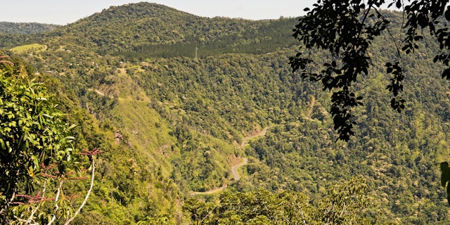 Eungella National Park-6