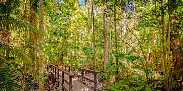 Eungella National Park-3