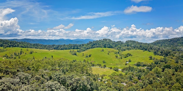 Eungella National Park-7