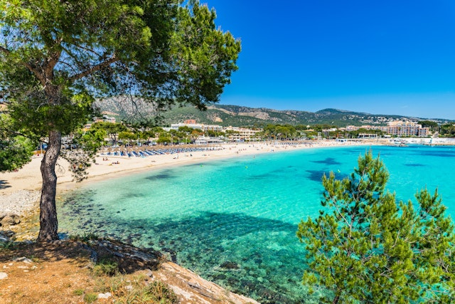 Calvia-1