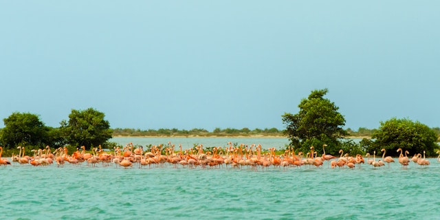 La Guajira-3