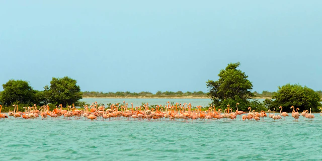 La Guajira-5