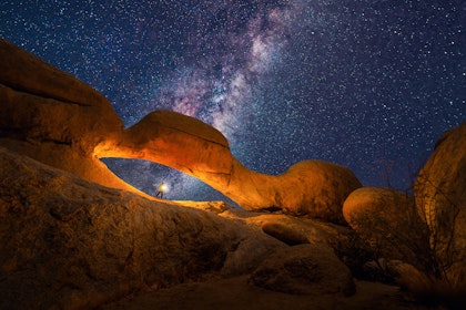 Namibia Safari und Baden: 2 Wochen Abenteuer - Image 4