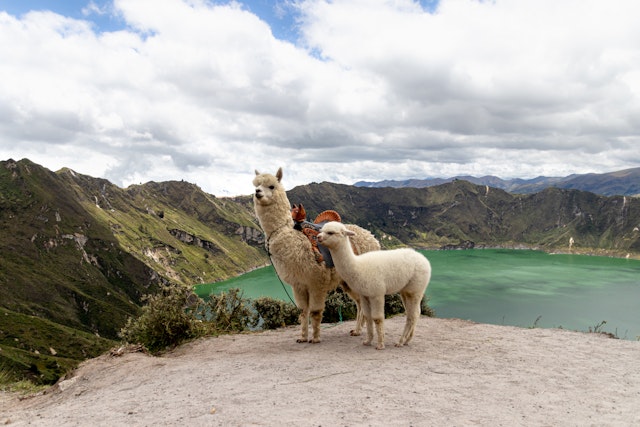 Ecuador Reise über Quito bis Guayaquil