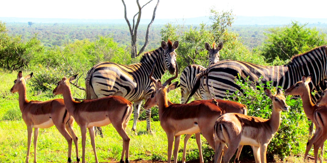 Voyage combiné Afrique du Sud et Seychelles