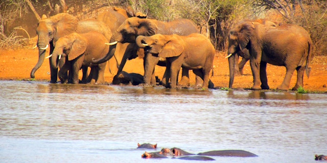 Marloth Park-0