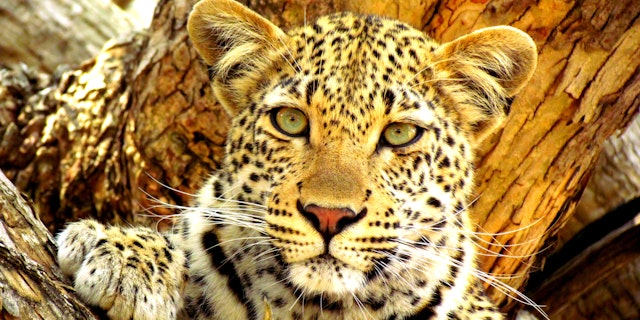 Marloth Park-3