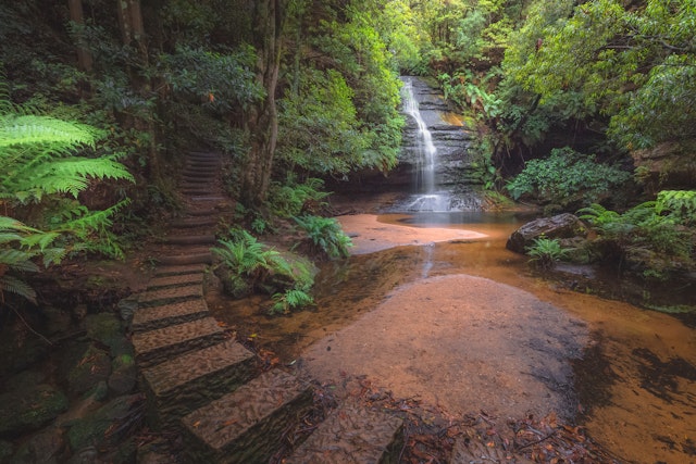 Blue Mountains National Park-3