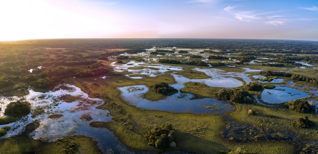 Southern Pantanal-1