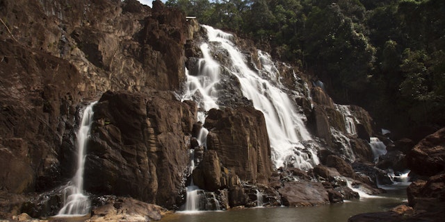 Endau Rompin National Park-2