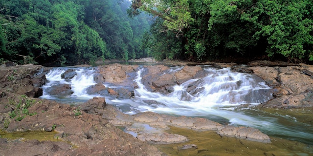 Endau Rompin National Park-3
