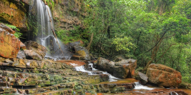 Endau Rompin National Park-0
