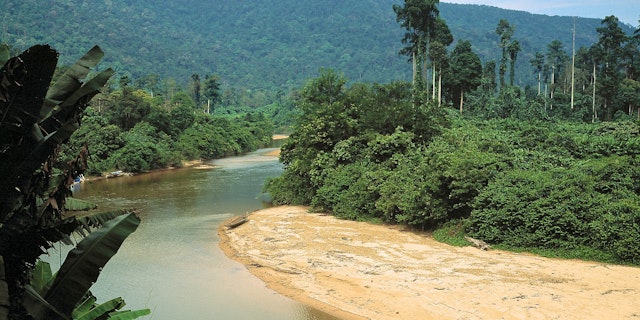 Endau Rompin National Park-1